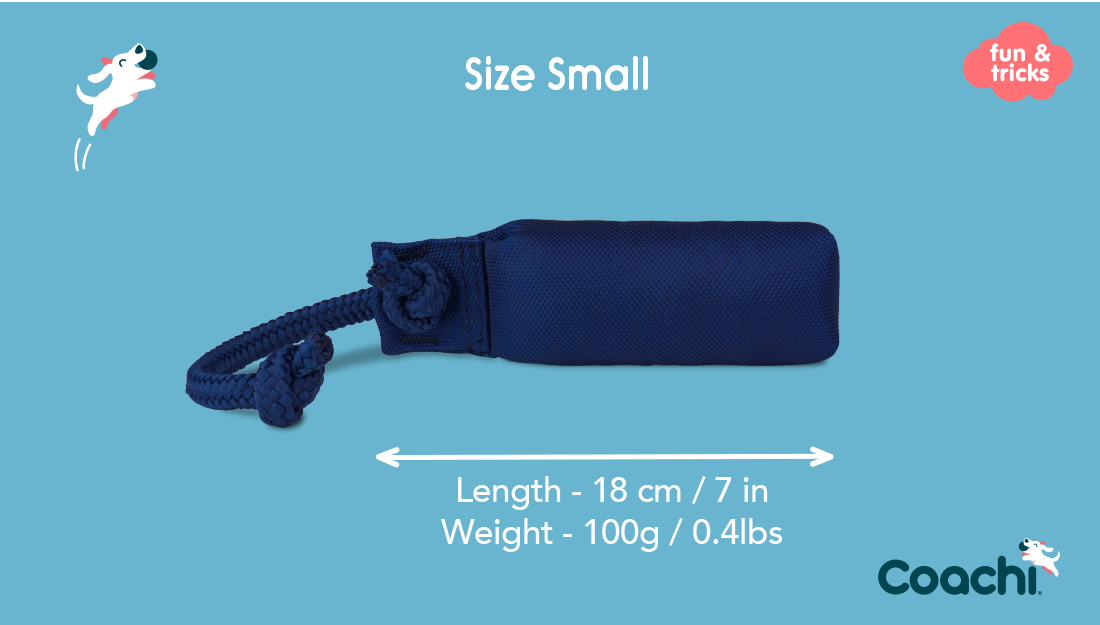 Coachi Canva Training Dummy